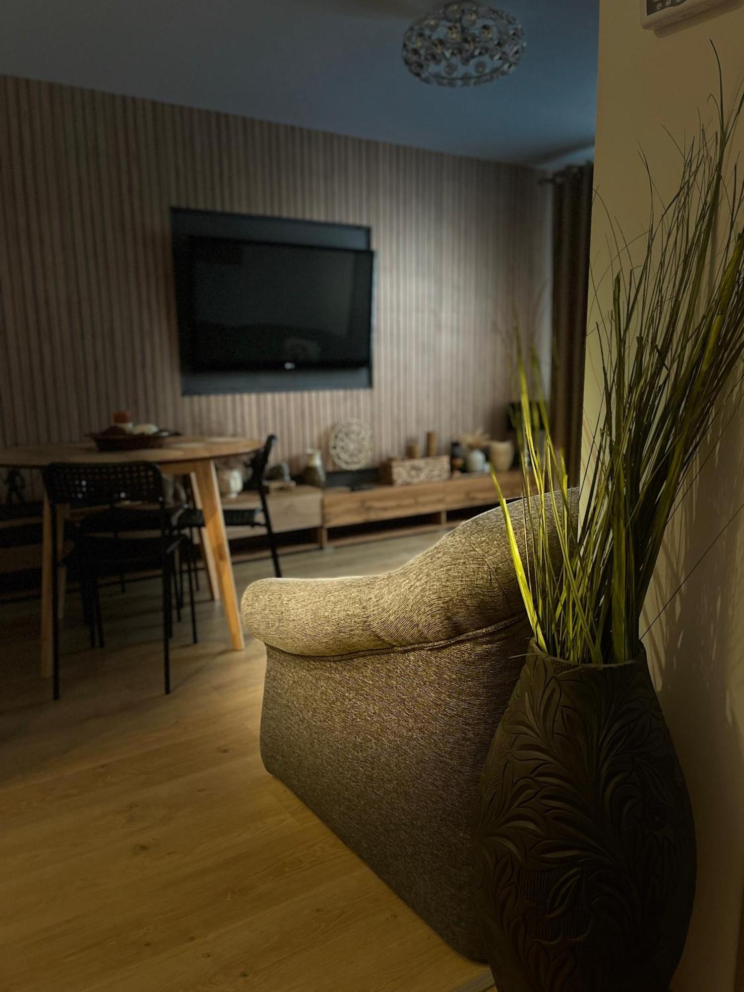 Roman Residence Apartment Борша Экстерьер фото